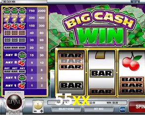 Descubra a Essência do 55xx: Nossa História e Compromissos